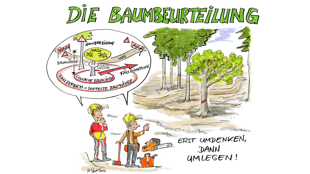 Vergrößerung des Bildes für Cartoon zeigt zwei Menschen im Forst.. In Sprechblasen sind die Schritte beschrieben, die für Baumbeurteilung wichtig sind..