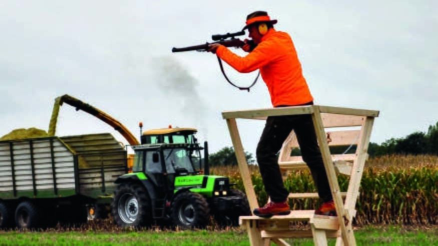 Vergrößerung des Bildes für Mann in oranger Warnweste auf dem Hochstand mit Gewehr, während im Hintergrund Erntearbeiten mit Traktor auf dem Feld durchgeführt werden. .