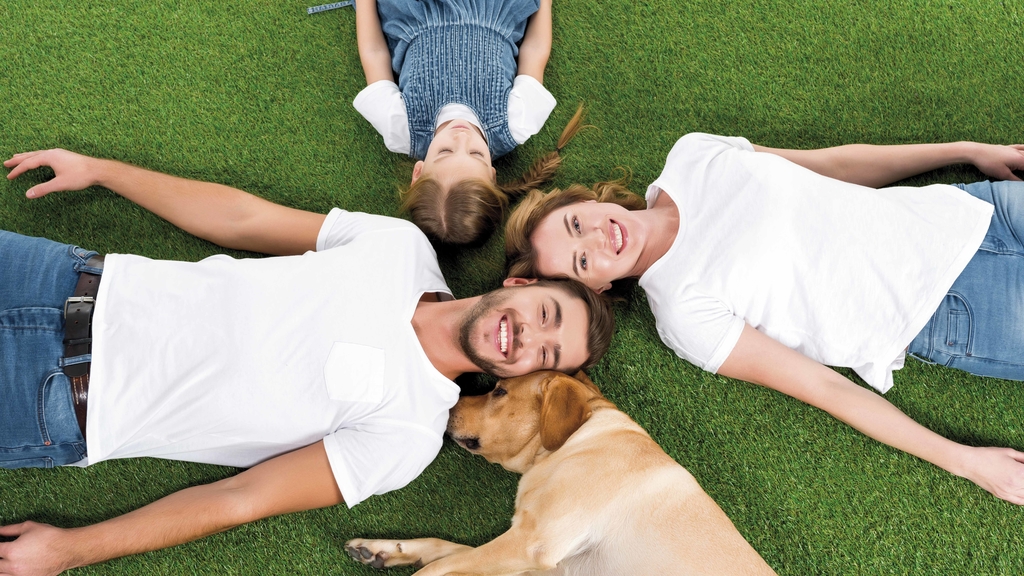 Familie mit Hund sternförmig im Gras liegend
