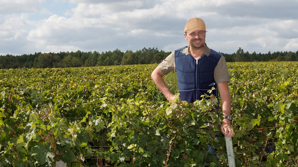 Vergrößerung des Bildes für Arbeiter mit Kühlweste im Weinanbaugebiet.