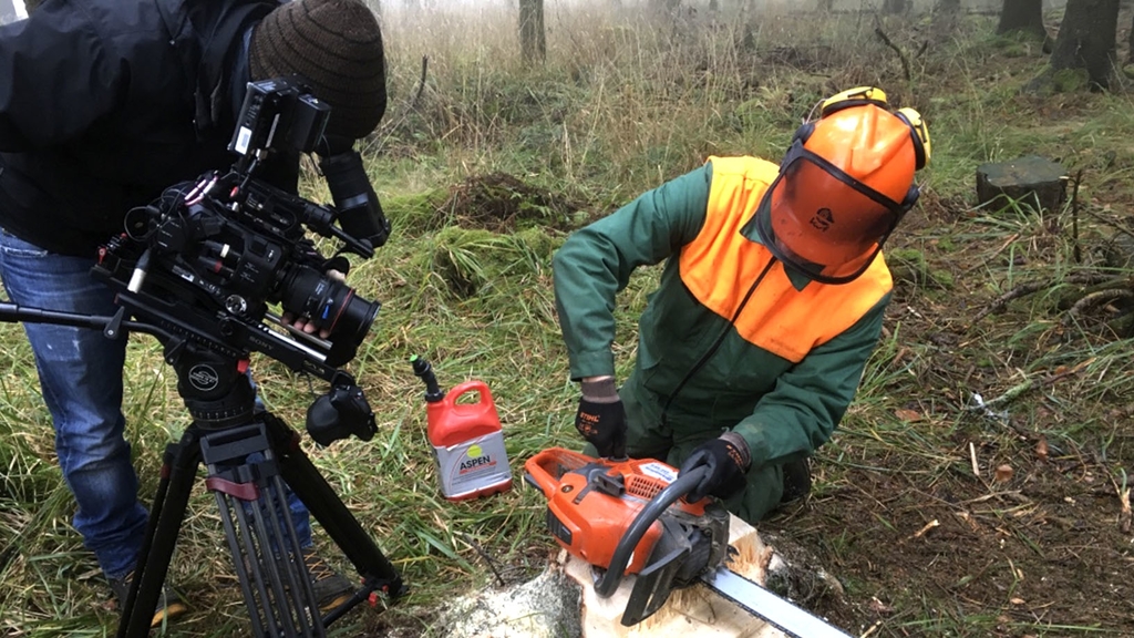 Vergrößerung des Bildes für Bild: Filmdreh: Eine Person mit einer Videokamera filmt einen Beschäftigten bei der Waldarbeit.