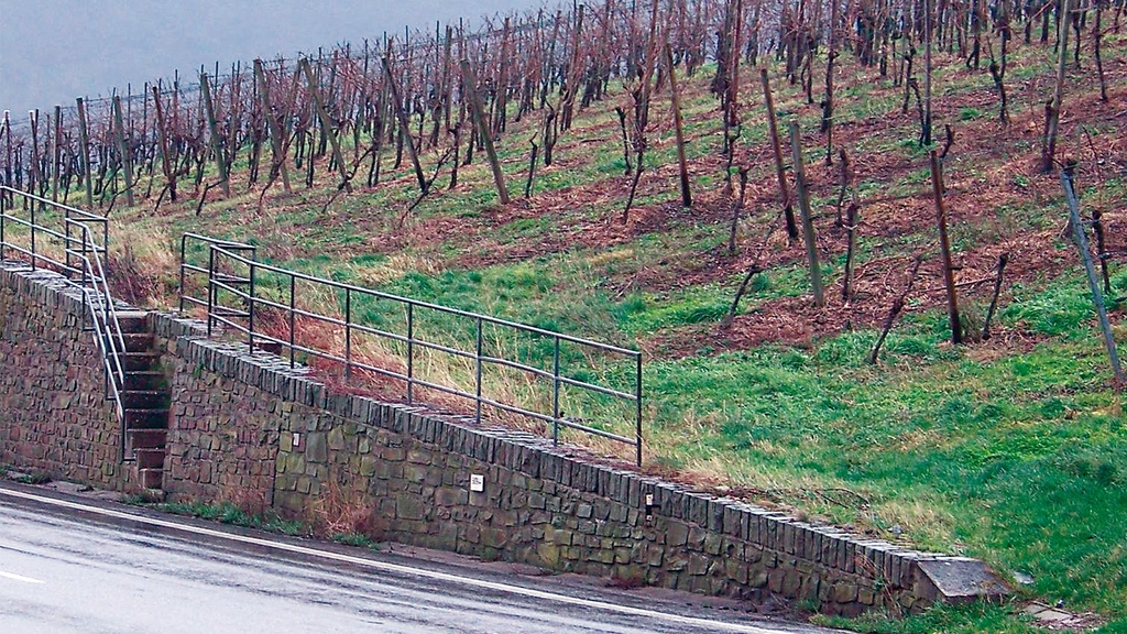 Vergrößerung des Bildes für Am Ende der Weinrebenfläche schützt eine Mauer mit Geländer  gegen die tieferliegenden Straße..