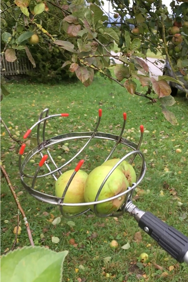 Vergrößerung des Bildes für Vorrichtung mit der Äpfel vom Baum gepflückt werden.