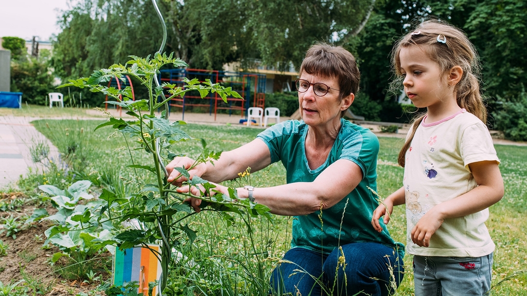 Ältere Dame erklärt einem Kindergartenkind am Gemüsebeet die Pflege einer Tomatenpflanze