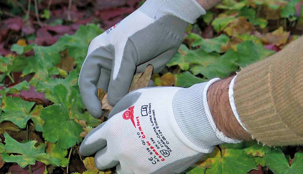Vergrößerung des Bildes für Hände mit Schutzhandschuhen bei der Gartenarbeit.