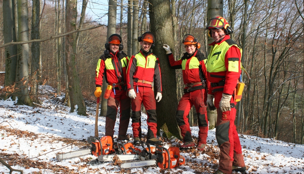 Vergrößerung des Bildes für Vier junge Waldarbeiter in kompletter persönlicher Schutzausrüstung im Wald.