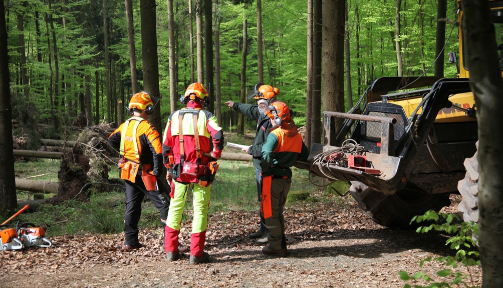Drei Forstarbeiter in PSA werden in ihre Arbeit im Wald eingewiesen. Daneben steht die Forstmaschine.