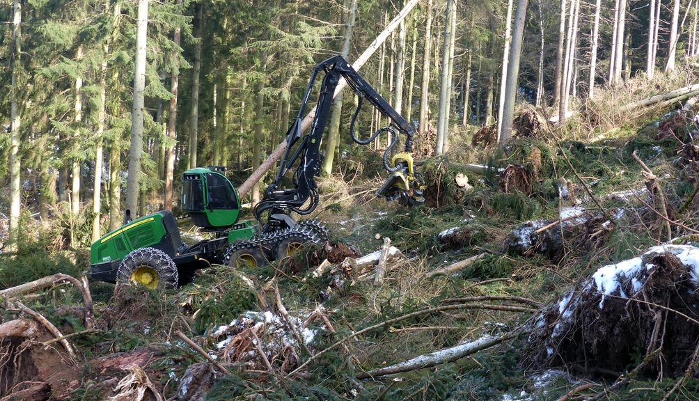 Eine Forstraupe für Fäll- und Rückearbeiten fährt einen bewaldeten Hang hoch. 