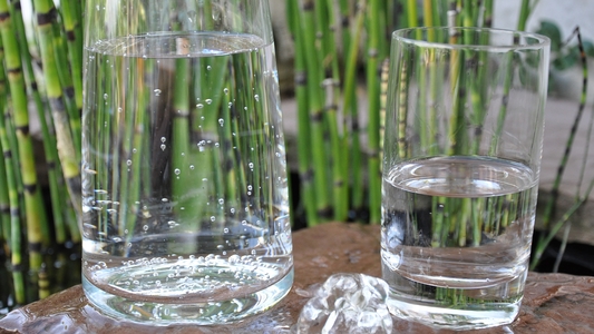 Glaskaraffe und Glas mit Wasser gefüllt, im Hintergrund Bambuspflanzen