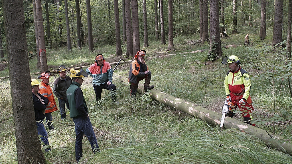 Vergrößerung des Bildes für Verhaltensprävention im Forst.