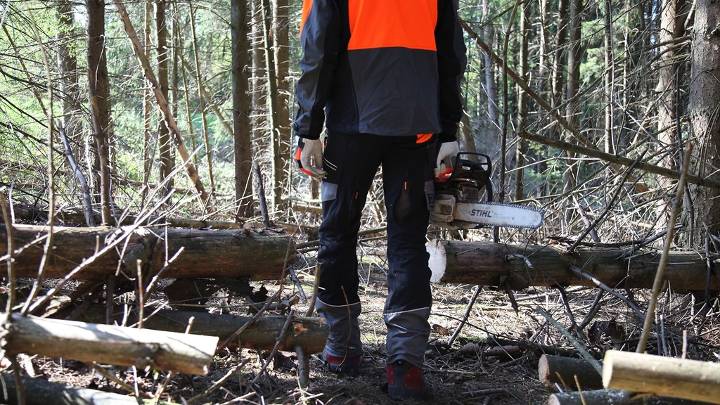 Vergrößerung des Bildes für Forstarbeiter steht mit Kettensäge im Wald wo sich viel Schadholz befindet.