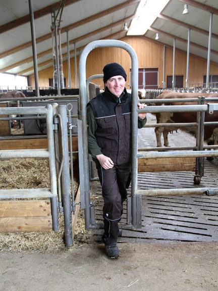 Tierwirt demonstriert Personenschlupfmöglichkeit im Rinderstall 