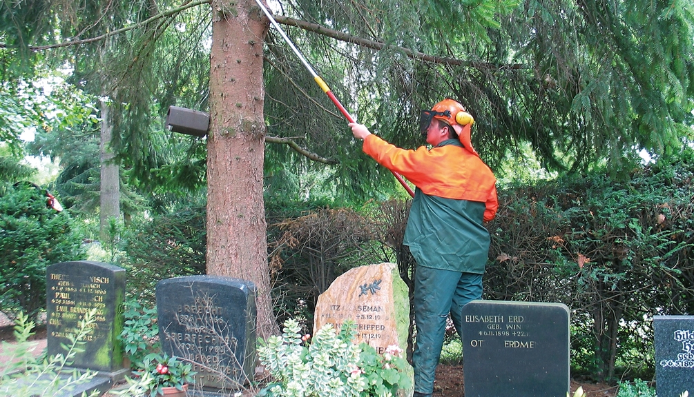 Vergrößerung des Bildes für Ein Mann in Schutzkleidung beschneidet mit einem Teleskopschneider einen Nadelbaum auf einem Friedhof. Im Vordergrund sind Grabsteine zusehen. .
