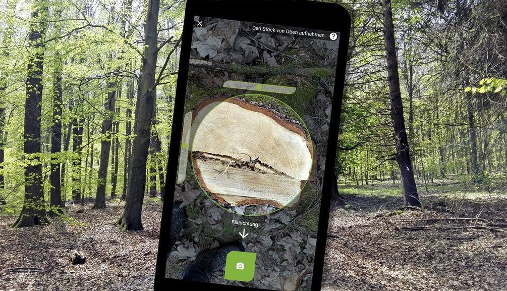 Aufnahme einer Baumrinde auf einem Handy Display zu sehen