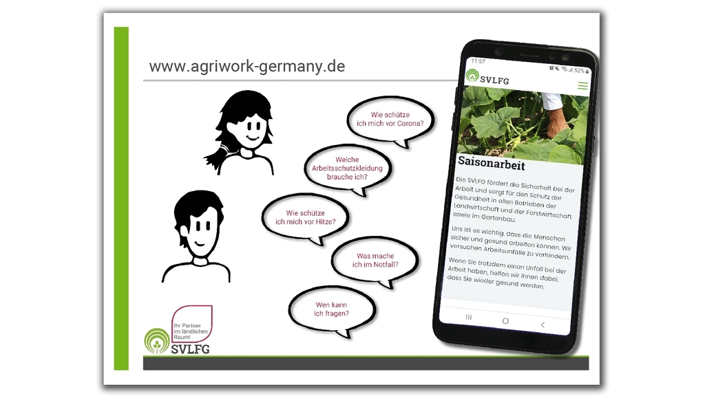 Vergrößerung des Bildes für Infografik "Fragen zur Web-App Saisonarbeit".