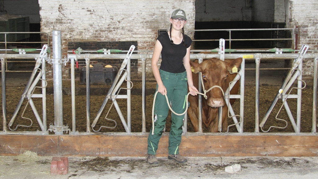 Vergrößerung des Bildes für Junge Frau in Arbeitskleidung im Stall. Sie hält ein Rind mit einem Strickhalfter fest..