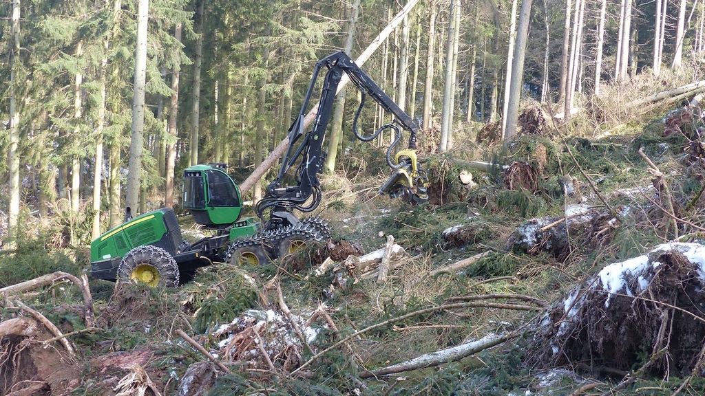 Ein Harvester im Wald arbeitet Sturmholz auf.