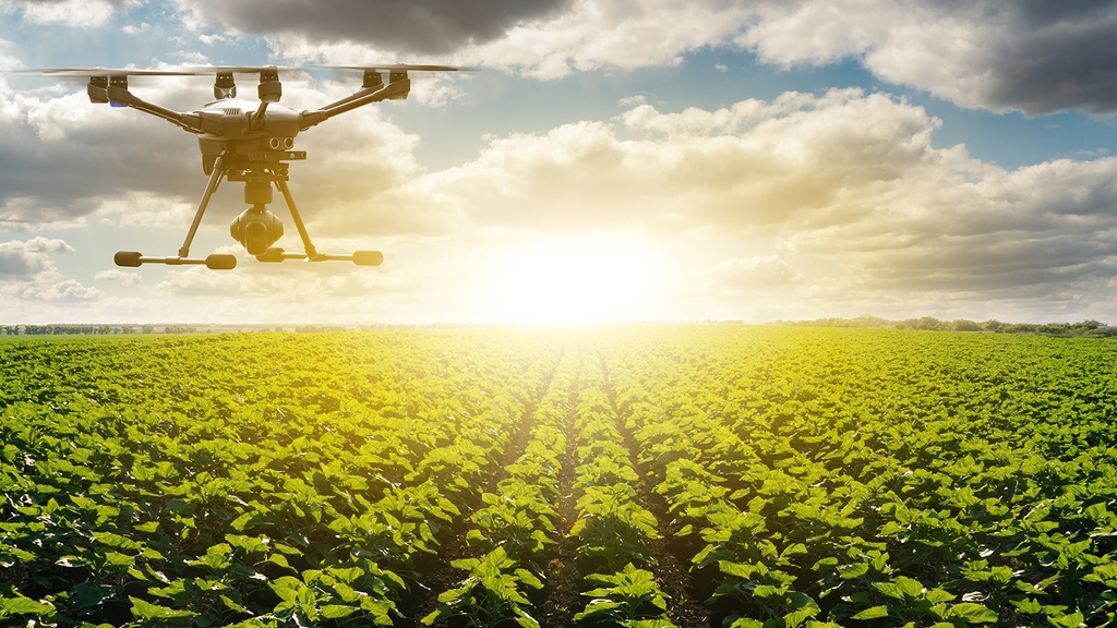 Vergrößerung des Bildes für A drone flies over a field, in the background a sun.