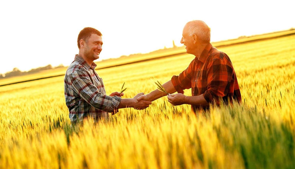 Ein junger und ein älterer Mann stehen im Kornfeld und halten in der jeweils linken Hand Kornähren, die rechte Hand reichen sie sich.