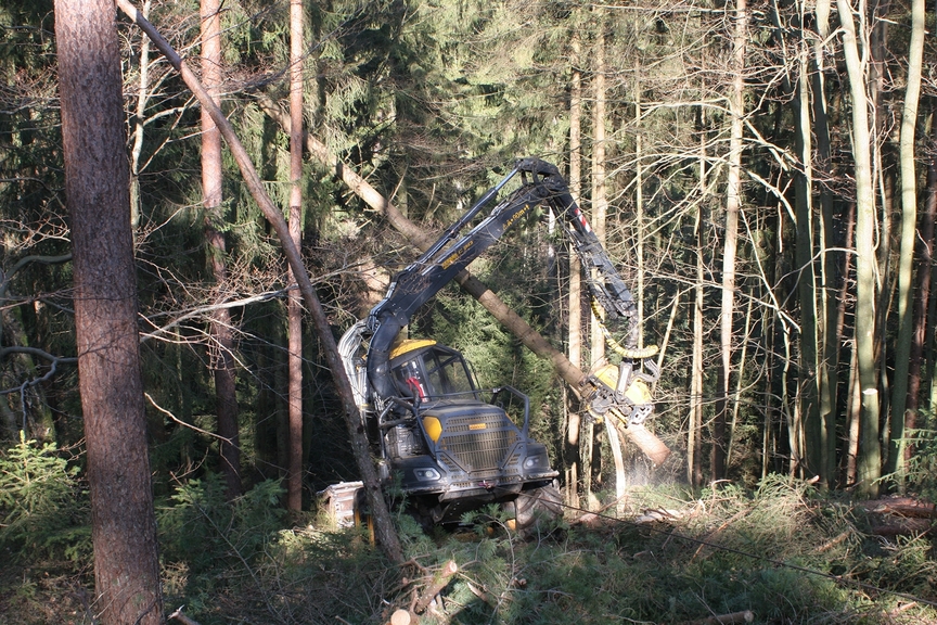 Vergrößerung des Bildes für Harvester in einem ungepflegten Baumbestand. Die Maschine bewegt einen Baumstamm..