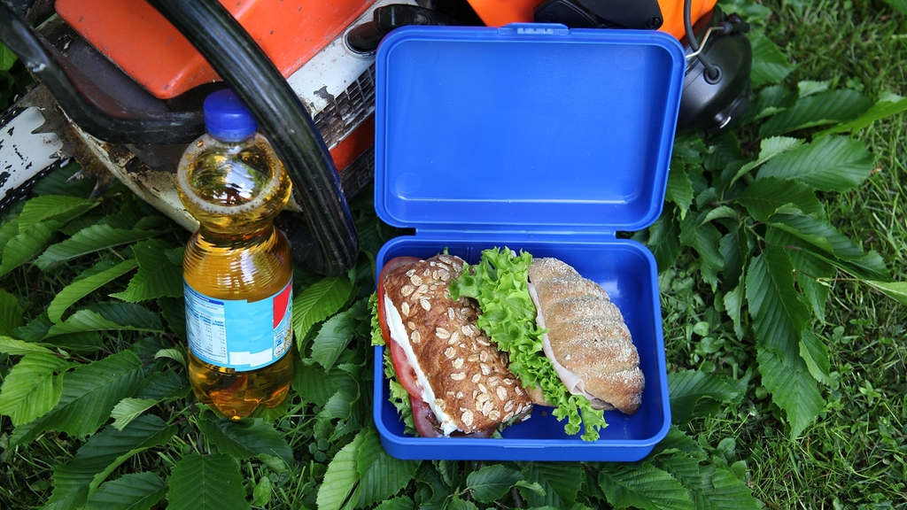Vergrößerung des Bildes für Zwischenmahlzeit für die Pause: eine Lunchbox mit belegten Broten und ein Getränk.